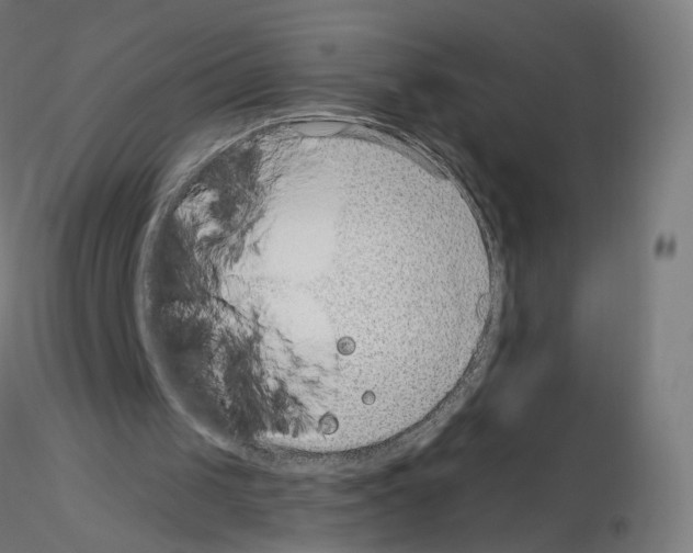 X0000115610049200912221215