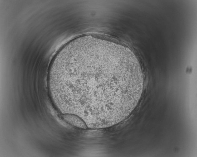 X0000115610050200912221215