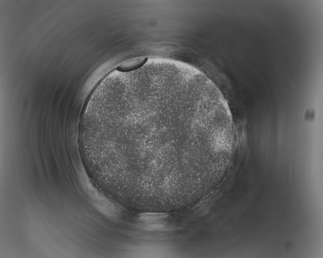 X0000115610051200912221216