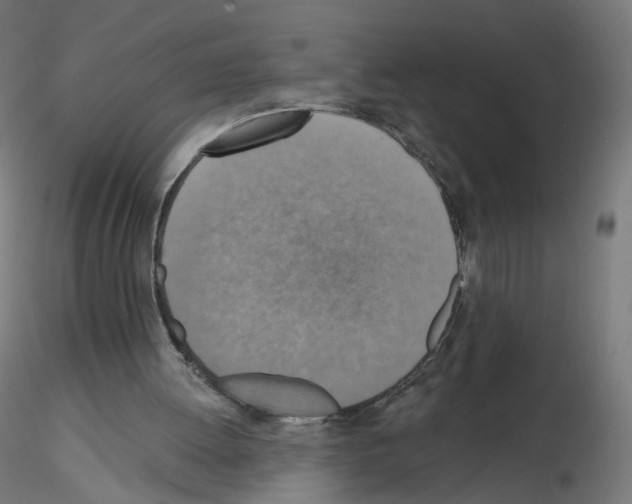 X0000115610052200912221216