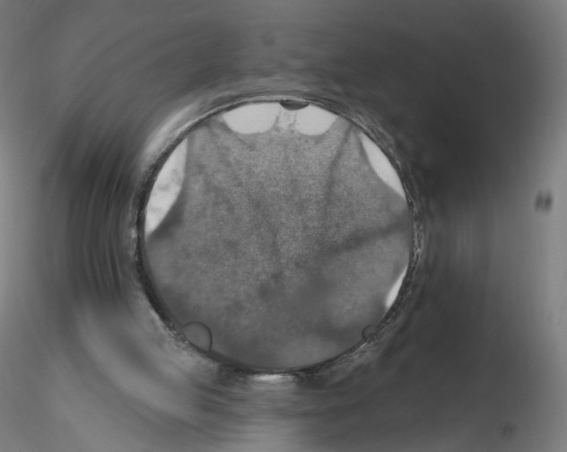 X0000115610053200912221216