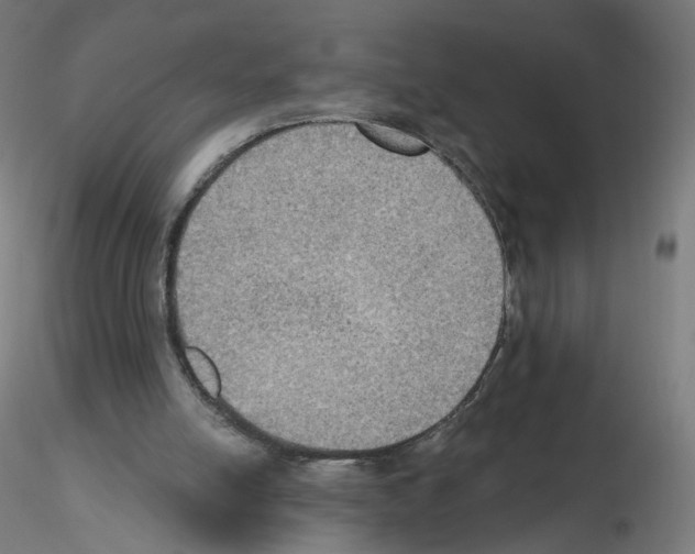 X0000115610054200912221216