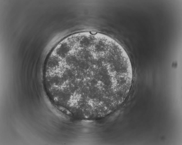 X0000115610055200912221216
