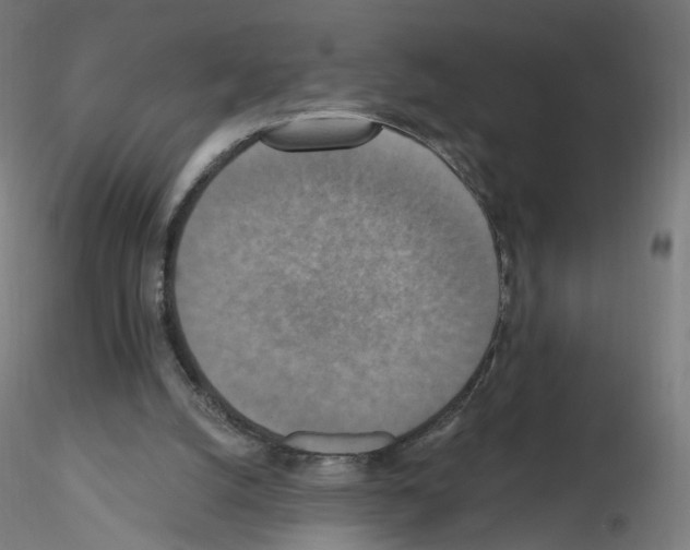 X0000115610056200912221216