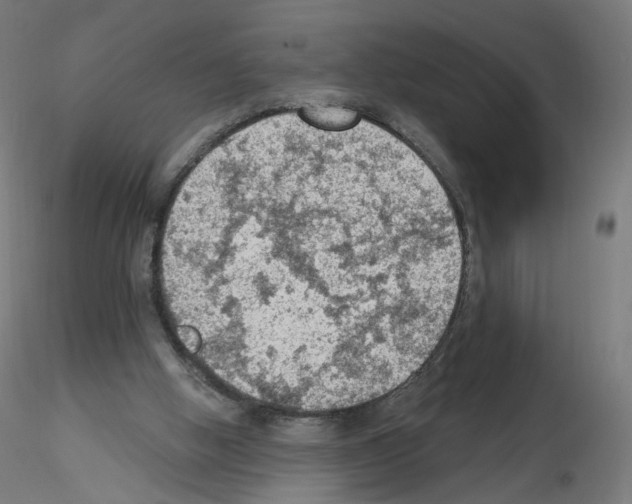 X0000115610058200912221216