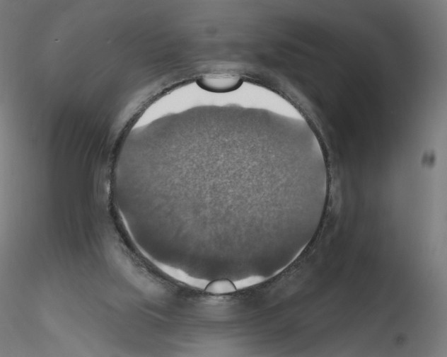 X0000115610059200912221216