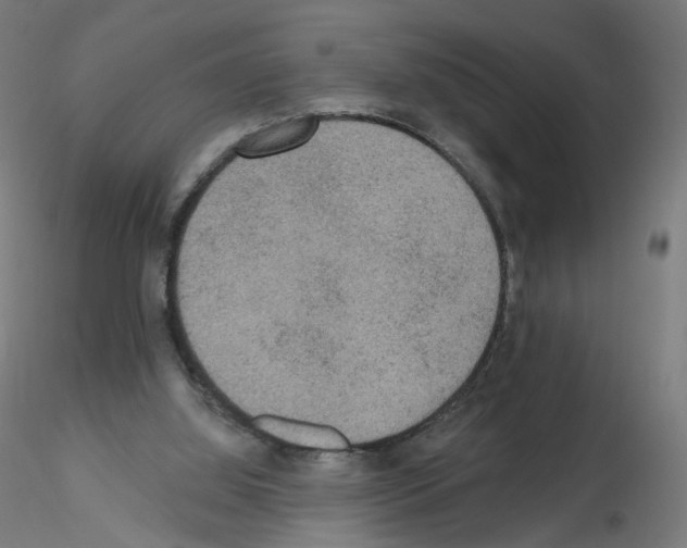 X0000115610060200912221216