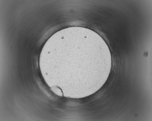 X0000115610061200912221216