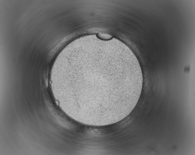 X0000115610062200912221216