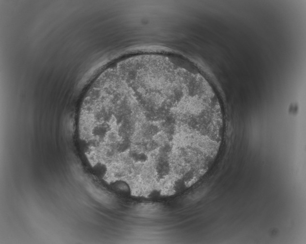 X0000115610063200912221216