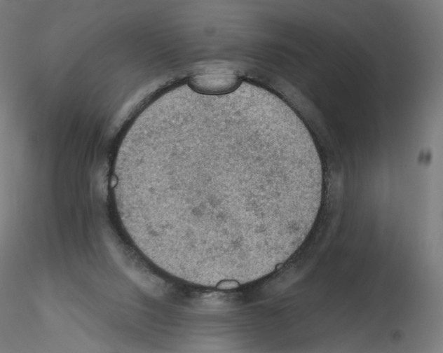 X0000115610064200912221216