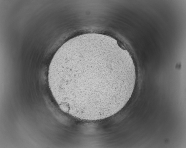X0000115610065200912221216