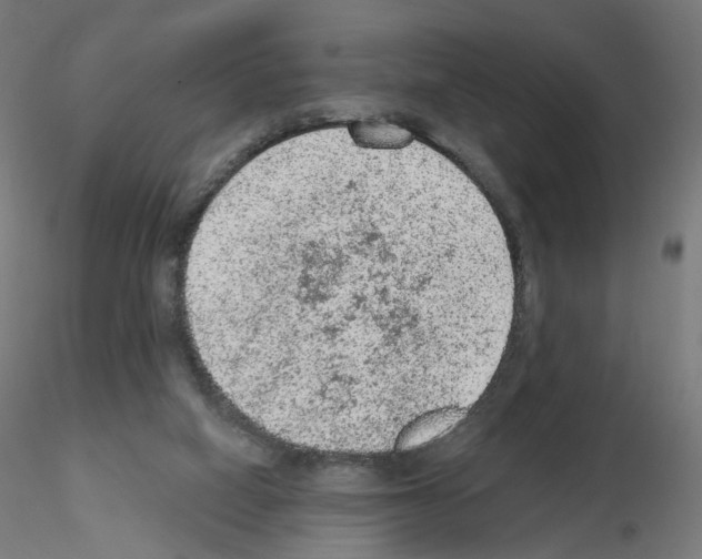 X0000115610066200912221216