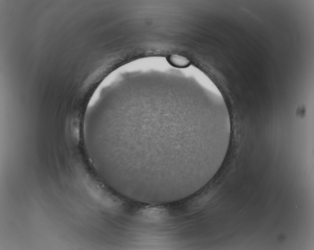 X0000115610067200912221216