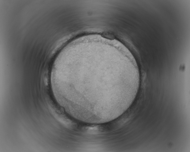 X0000115610068200912221216
