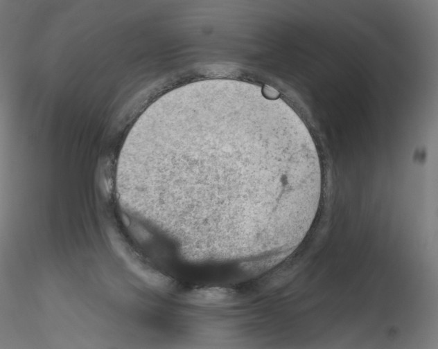 X0000115610069200912221216