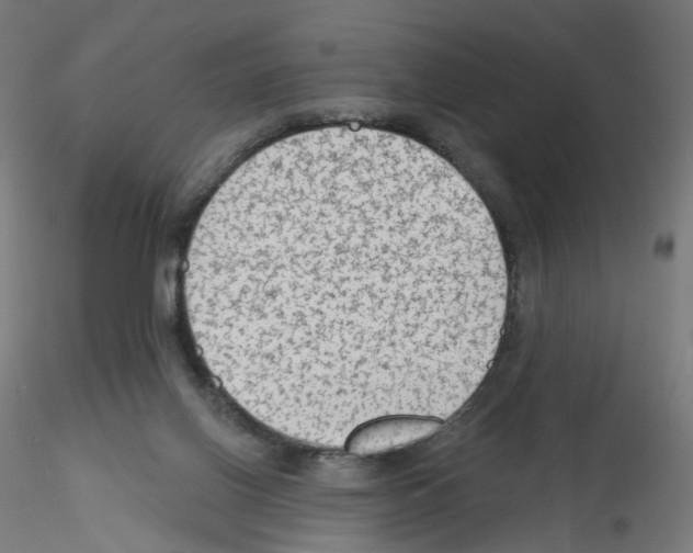 X0000115610070200912221216