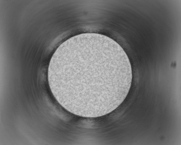 X0000115610071200912221216
