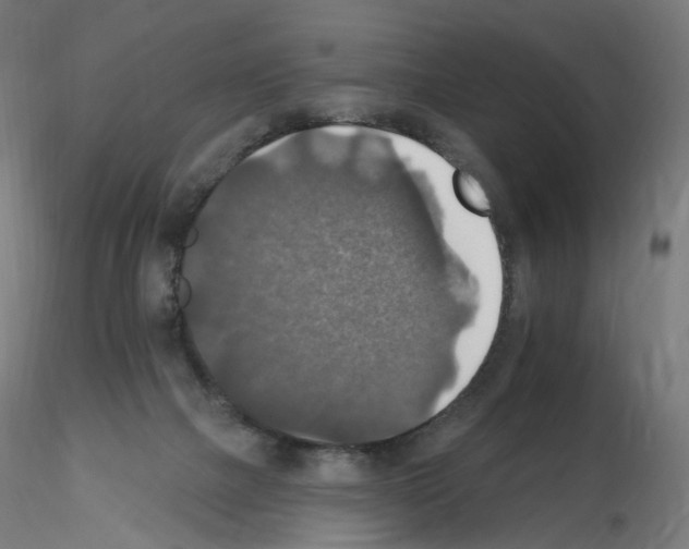X0000115610073200912221216