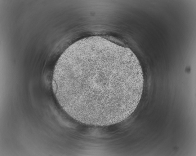 X0000115610074200912221216