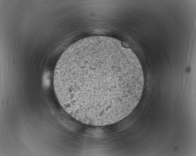 X0000115610075200912221216