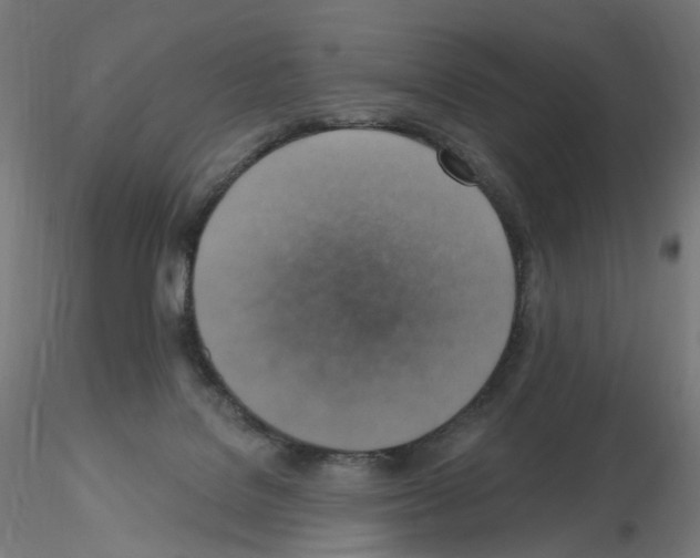 X0000115610076200912221216