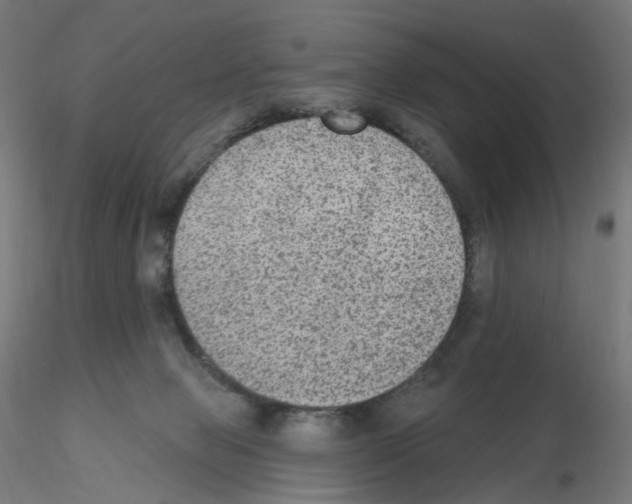 X0000115610077200912221216