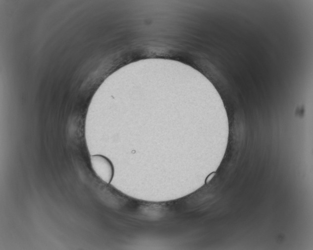 X0000115610079200912221216