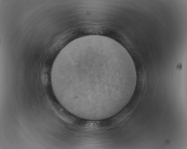 X0000115610080200912221216