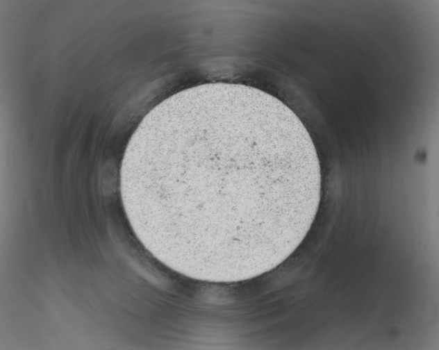 X0000115610081200912221216