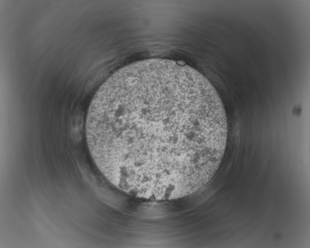 X0000115610082200912221216
