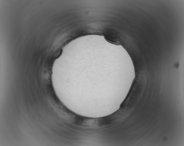 X0000115610084200912221216
