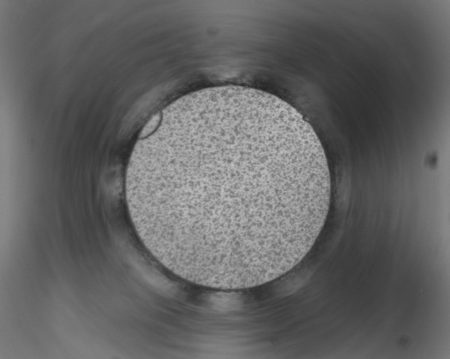 X0000115610085200912221216