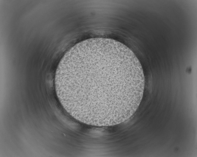 X0000115610086200912221216