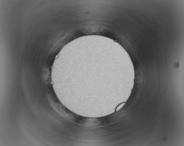X0000115610087200912221216