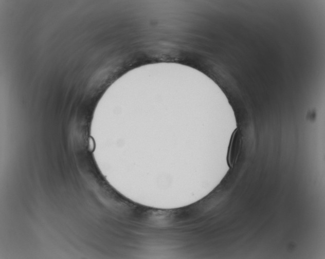X0000115610088200912221216