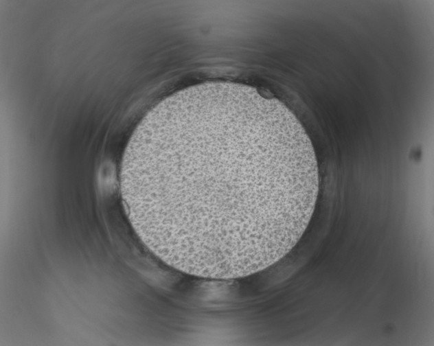 X0000115610089200912221216