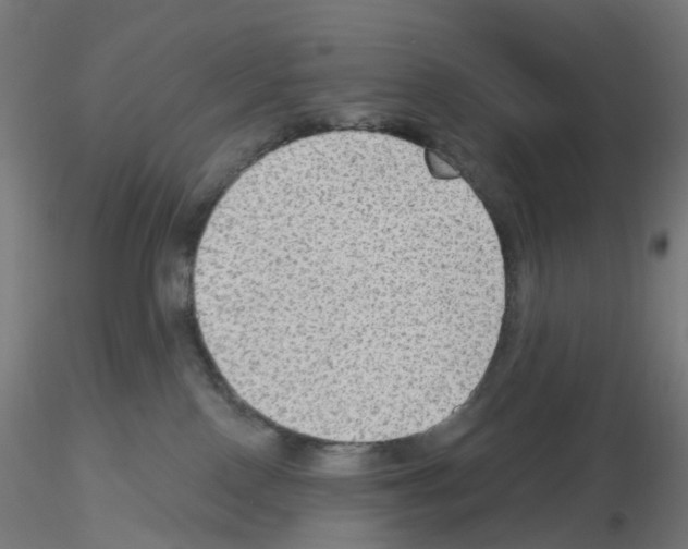 X0000115610090200912221216