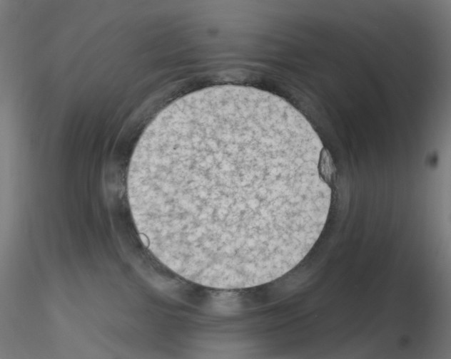 X0000115610091200912221216