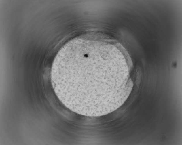 X0000115610093200912221216