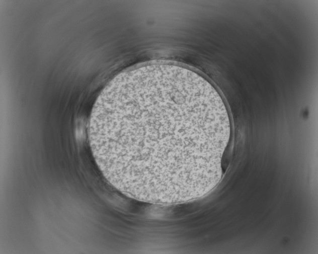 X0000115610094200912221216