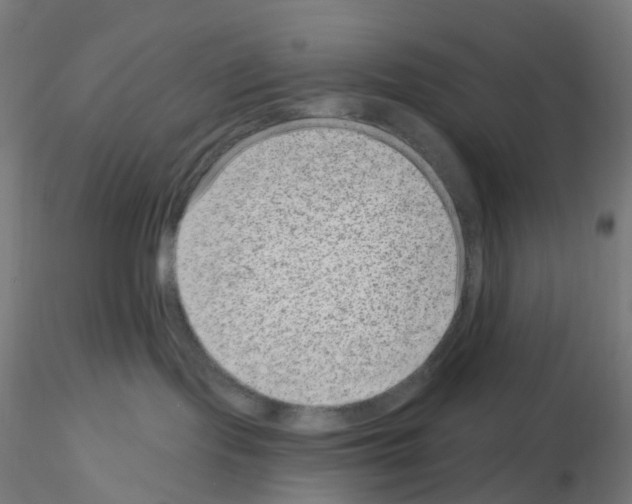 X0000115610095200912221216