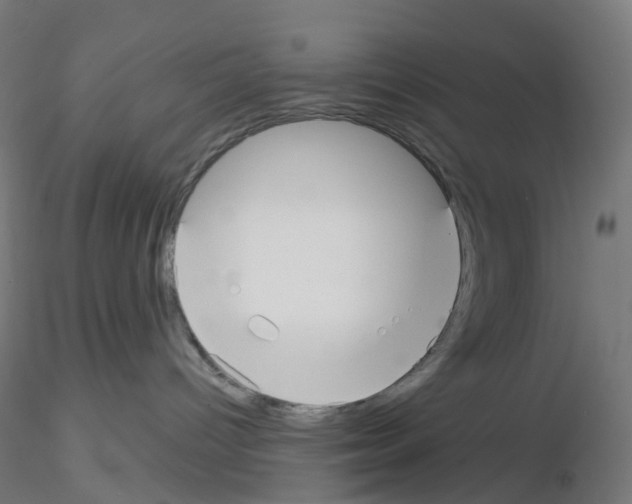 X0000115610096200912221216