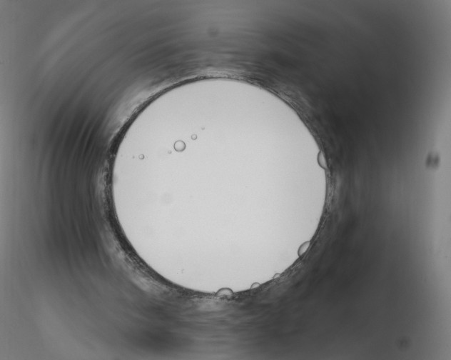 X0000115610098200912221215