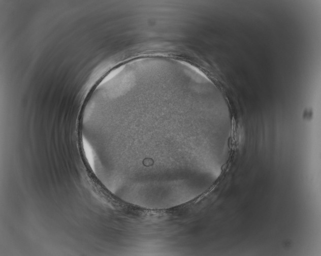 X0000115610099200912221215