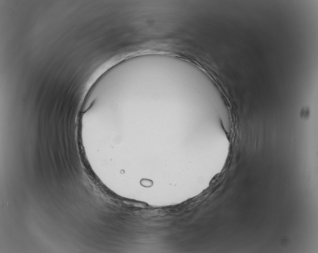 X0000115610100200912221215