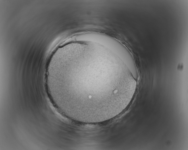 X0000115610101200912221215