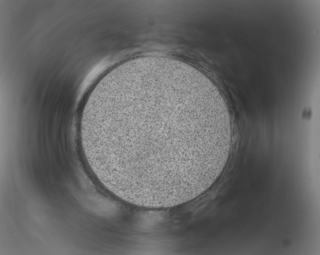 X0000115610102200912221215