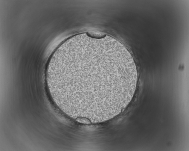 X0000115610103200912221215