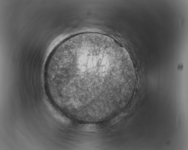 X0000115610104200912221215